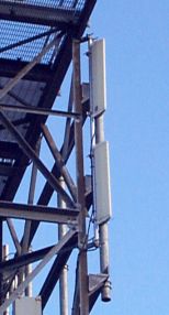 Mount Newton Rogers tower