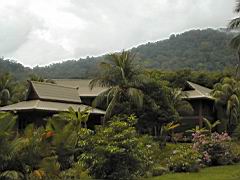 DSCN6141.JPG