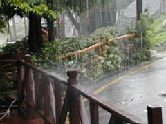 DSCN6146.JPG
