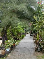 DSCN6172.JPG