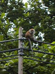 DSCN6185.JPG