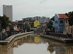 DSCN6305.JPG