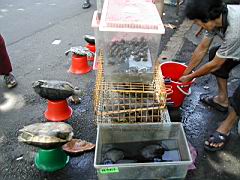 DSCN6404.JPG