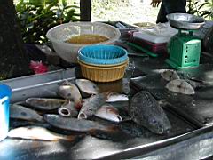 DSCN6406.JPG