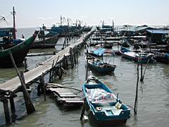 DSCN6561.JPG