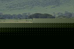 60.jpg
