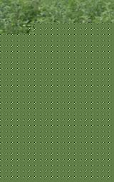 71.jpg