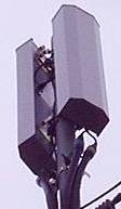 Microcell 5-sided fat cells