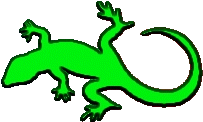 GeckoBeach